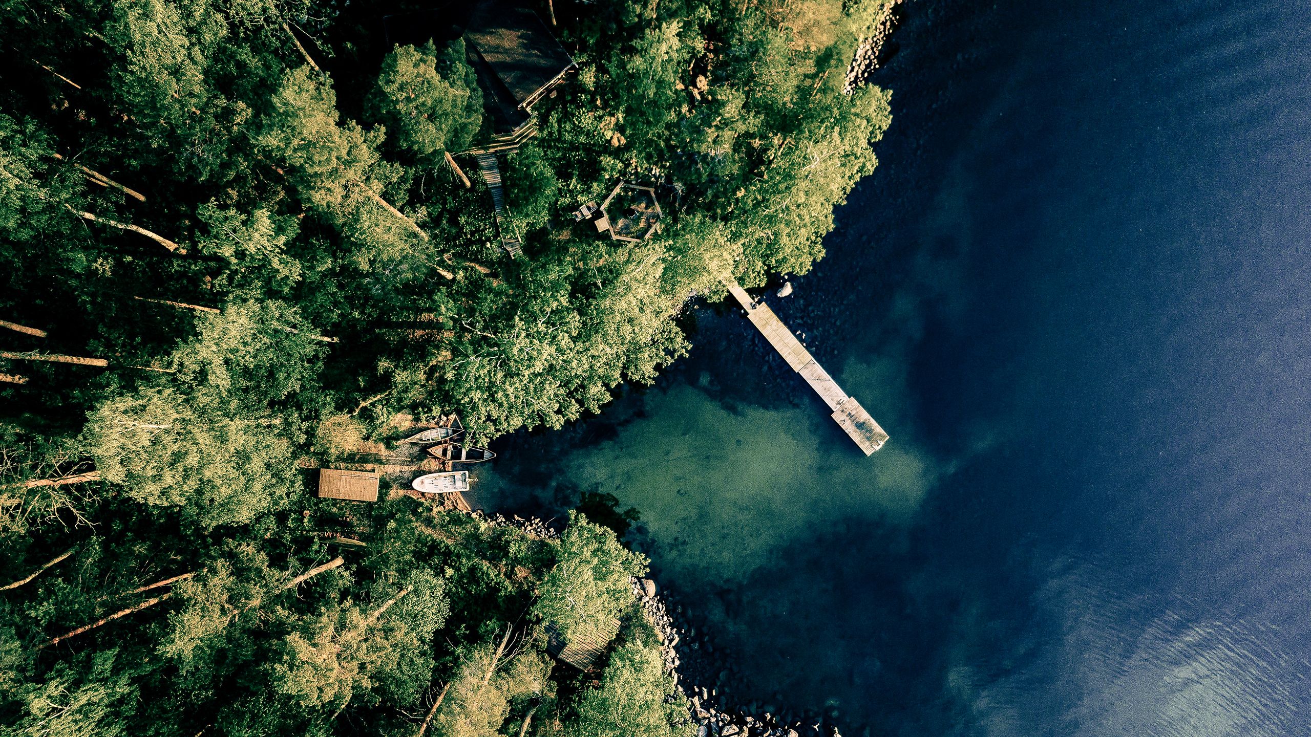 Skovsø set fra luften